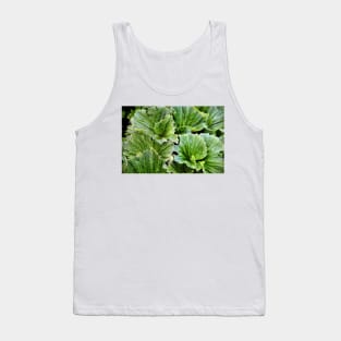 Macquarie Island Cabbage Tank Top